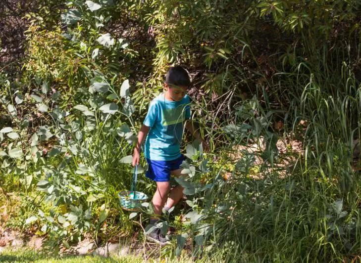 9岁男孩失踪后尸骨在山林地缝发现!